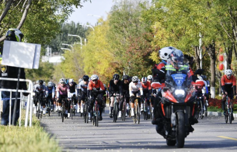 news, 洒满世园公 news, 洒满世园公